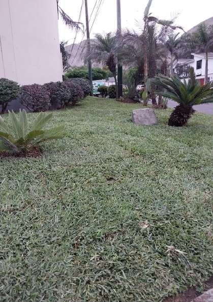Recuperación de áreas verdes