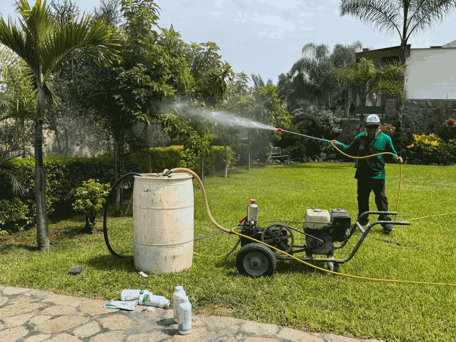 Fumigación de plagas