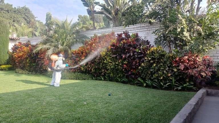 Fumigación de plagas