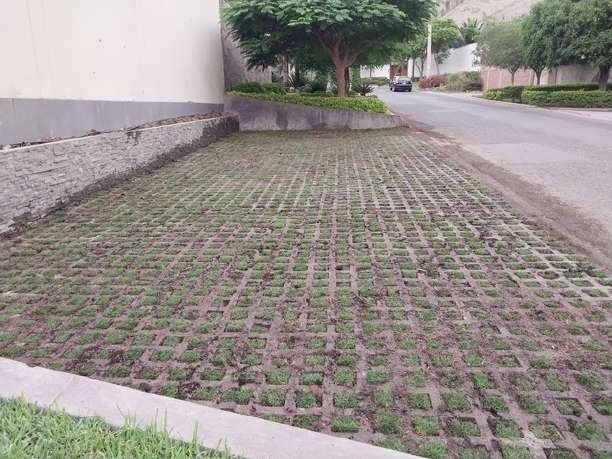 Recuperación de áreas verdes – foto 3