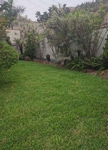Recuperación de áreas verdes – foto 4